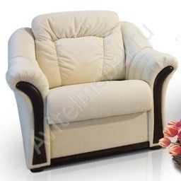 Кресло-кровать Гарден 2